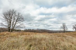7 Acre Building Lot, Erin, Ontario - Country homes for sale and luxury real estate including horse farms and property in the Caledon and King City areas near Toronto