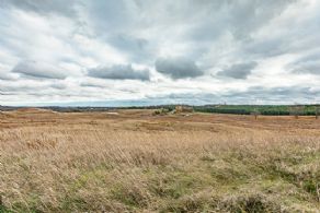 7 Acre Building Lot, Erin, Ontario - Country homes for sale and luxury real estate including horse farms and property in the Caledon and King City areas near Toronto