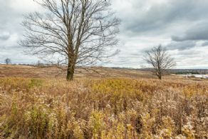 7 Acre Building Lot, Erin, Ontario - Country homes for sale and luxury real estate including horse farms and property in the Caledon and King City areas near Toronto