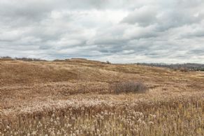 7 Acre Building Lot, Erin - Country Homes for sale and Luxury Real Estate in Caledon and King City including Horse Farms and Property for sale near Toronto