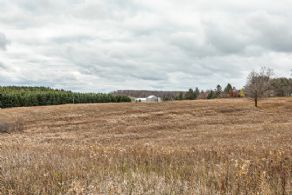7 Acre Building Lot, Erin, Ontario - Country homes for sale and luxury real estate including horse farms and property in the Caledon and King City areas near Toronto