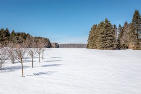 French Country, East Garafraxa, Ontario - Country homes for sale and luxury real estate including horse farms and property in the Caledon and King City areas near Toronto