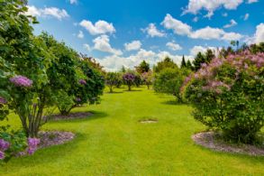 Blithe Hill, 254 acres, Hockley Valley - Country homes for sale and luxury real estate including horse farms and property in the Caledon and King City areas near Toronto