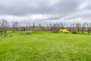 Blithe Hill, 254 acres, Hockley Valley - Country homes for sale and luxury real estate including horse farms and property in the Caledon and King City areas near Toronto