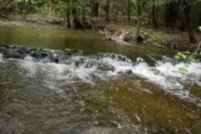 River through property - Country homes for sale and luxury real estate including horse farms and property in the Caledon and King City areas near Toronto