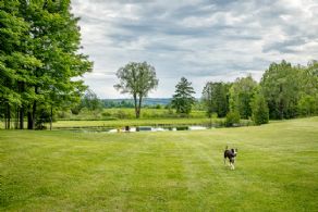 Back Yard - Country homes for sale and luxury real estate including horse farms and property in the Caledon and King City areas near Toronto
