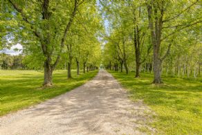 Front Driveway - Country homes for sale and luxury real estate including horse farms and property in the Caledon and King City areas near Toronto