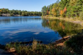 34 Webber Island, Georgian Bay, Ontario - Country homes for sale and luxury real estate including horse farms and property in the Caledon and King City areas near Toronto