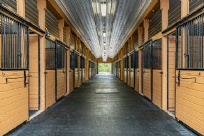 Main Aisle - Country homes for sale and luxury real estate including horse farms and property in the Caledon and King City areas near Toronto