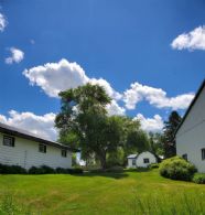 Stables past Guest House - Country homes for sale and luxury real estate including horse farms and property in the Caledon and King City areas near Toronto
