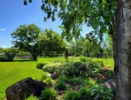 View from the morning room - Country homes for sale and luxury real estate including horse farms and property in the Caledon and King City areas near Toronto