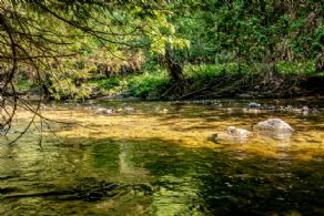 Nottawasaga River runs through the property - Country homes for sale and luxury real estate including horse farms and property in the Caledon and King City areas near Toronto