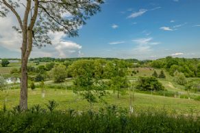Countryside views - Country homes for sale and luxury real estate including horse farms and property in the Caledon and King City areas near Toronto