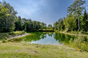 10 Acres, Queensville, Ontario - Country homes for sale and luxury real estate including horse farms and property in the Caledon and King City areas near Toronto