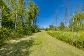 10 Acres, Queensville, Ontario - Country homes for sale and luxury real estate including horse farms and property in the Caledon and King City areas near Toronto