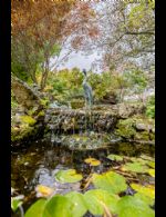 Koi Pond - Country homes for sale and luxury real estate including horse farms and property in the Caledon and King City areas near Toronto