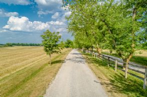 Equestrian Facility for Lease, Richmond Hill, Ontario - Country homes for sale and luxury real estate including horse farms and property in the Caledon and King City areas near Toronto