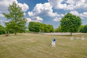 Equestrian Facility for Lease, Richmond Hill, Ontario - Country homes for sale and luxury real estate including horse farms and property in the Caledon and King City areas near Toronto