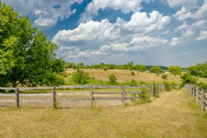 Equestrian Facility for Lease, Richmond Hill, Ontario - Country homes for sale and luxury real estate including horse farms and property in the Caledon and King City areas near Toronto