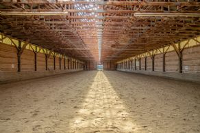 Equestrian Facility for Lease, Richmond Hill, Ontario - Country homes for sale and luxury real estate including horse farms and property in the Caledon and King City areas near Toronto