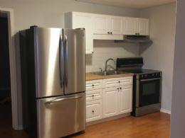 Lower level kitchen - Country homes for sale and luxury real estate including horse farms and property in the Caledon and King City areas near Toronto