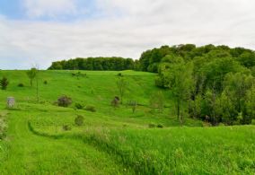 Miles of Groomed Trails - Country homes for sale and luxury real estate including horse farms and property in the Caledon and King City areas near Toronto