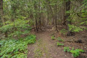 Hockley Valley Cabin, Hockley Valley, ON - Country homes for sale and luxury real estate including horse farms and property in the Caledon and King City areas near Toronto