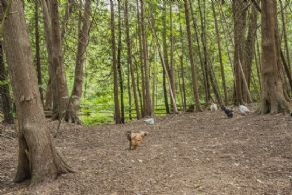 Hockley Valley Cabin, Hockley Valley, ON - Country homes for sale and luxury real estate including horse farms and property in the Caledon and King City areas near Toronto