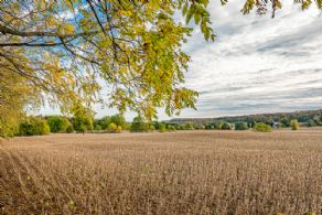 The Scotch Estate, Halton, Ontario - Country homes for sale and luxury real estate including horse farms and property in the Caledon and King City areas near Toronto