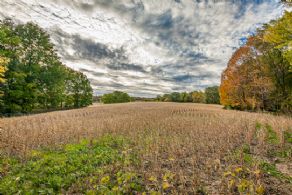 The Scotch Estate, Halton, Ontario - Country homes for sale and luxury real estate including horse farms and property in the Caledon and King City areas near Toronto