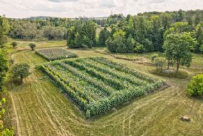 Stone Bungalow Airport Road, Mono, Ontario - Country homes for sale and luxury real estate including horse farms and property in the Caledon and King City areas near Toronto
