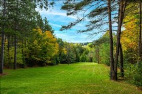 Views from Deck - Country homes for sale and luxury real estate including horse farms and property in the Caledon and King City areas near Toronto