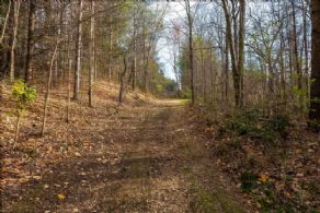 King Caledon Townline, Ontario - Country homes for sale and luxury real estate including horse farms and property in the Caledon and King City areas near Toronto