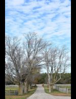 Front Drive - Country homes for sale and luxury real estate including horse farms and property in the Caledon and King City areas near Toronto