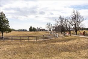 Front Entrance Drive - Country homes for sale and luxury real estate including horse farms and property in the Caledon and King City areas near Toronto