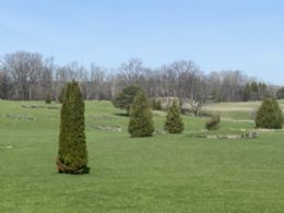 Western views across the property - Country homes for sale and luxury real estate including horse farms and property in the Caledon and King City areas near Toronto