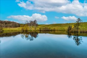 1 of 3 Ponds - Country homes for sale and luxury real estate including horse farms and property in the Caledon and King City areas near Toronto
