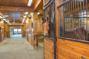 Main Aisle - Country homes for sale and luxury real estate including horse farms and property in the Caledon and King City areas near Toronto