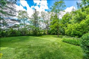 Back Yard - Country homes for sale and luxury real estate including horse farms and property in the Caledon and King City areas near Toronto