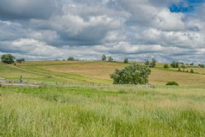 85 Acres Near Urban Boundary, Mount Albert, Ontario - Country homes for sale and luxury real estate including horse farms and property in the Caledon and King City areas near Toronto