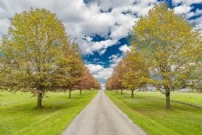 Apple Ridge Farm - Country Homes for sale and Luxury Real Estate in Caledon and King City including Horse Farms and Property for sale near Toronto