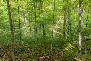 Dufferin Estate Lot, Ontario - Country homes for sale and luxury real estate including horse farms and property in the Caledon and King City areas near Toronto