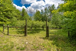 Apple Orchard - Country homes for sale and luxury real estate including horse farms and property in the Caledon and King City areas near Toronto