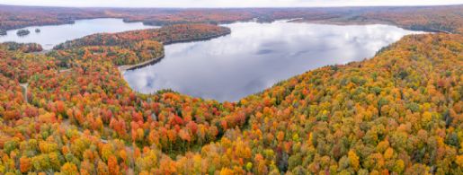 Percy Lake 75 Acres - Country Homes for sale and Luxury Real Estate in Caledon and King City including Horse Farms and Property for sale near Toronto
