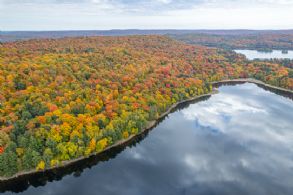 Percy Lake 75 Acres, Haliburton, Ontario - Country homes for sale and luxury real estate including horse farms and property in the Caledon and King City areas near Toronto