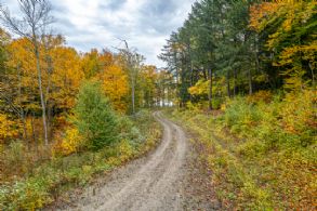 Percy Lake 75 Acres, Haliburton, Ontario - Country homes for sale and luxury real estate including horse farms and property in the Caledon and King City areas near Toronto