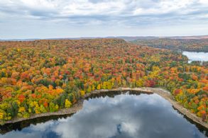 Percy Lake 75 Acres, Haliburton, Ontario - Country homes for sale and luxury real estate including horse farms and property in the Caledon and King City areas near Toronto