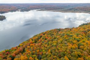 Percy Lake 75 Acres, Haliburton, Ontario - Country homes for sale and luxury real estate including horse farms and property in the Caledon and King City areas near Toronto