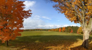 Ceilte Lochan Farm, Hockley Valley, Ontario - Country homes for sale and luxury real estate including horse farms and property in the Caledon and King City areas near Toronto