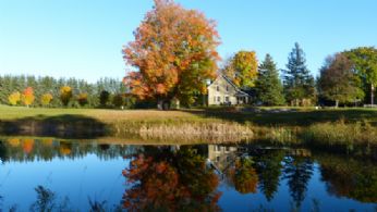 Ceilte Lochan Farm, Hockley Valley, Ontario - Country homes for sale and luxury real estate including horse farms and property in the Caledon and King City areas near Toronto